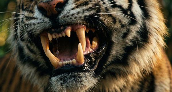 마케팅 책 200권 글 하나로 요약