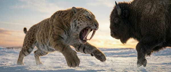 왜 당신의 광고는 소음이 되는가